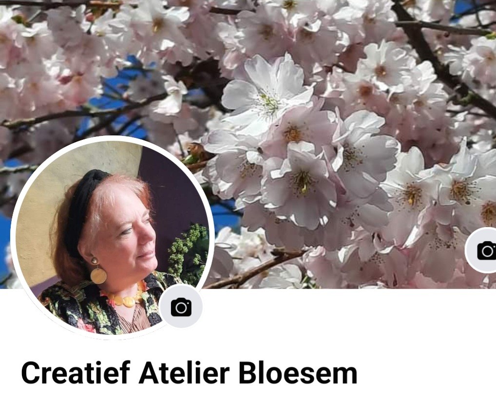FaceBook pagina
